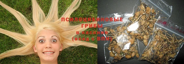 spice Карталы