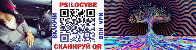 Купить закладки  Южно-Сухокумск  Галлюциногенные грибы Psilocybe 